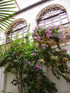 Palace Derossi Hotel 